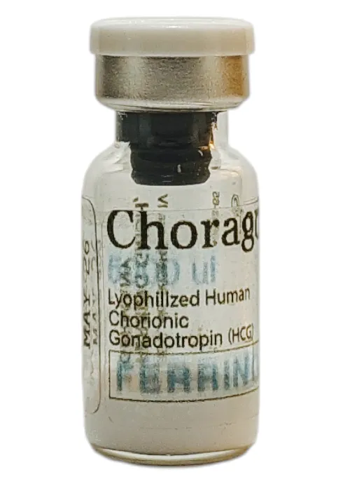 Human Chorionic Gonadotropin